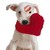 :iconpupuce223: