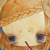 :iconpupupirushimada:
