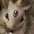 :iconpurae-omallia:
