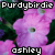 :iconpurdybirdie: