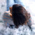 :iconpure-heart02: