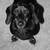 :iconpure-innocents-not: