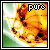 :iconpure-krypton:
