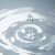 :iconpure-photo-club: