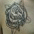 :iconpure1er: