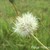 :iconpuredelightphotos:
