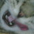 :iconpurely-sykotic: