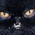 :iconpuresin77: