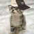:iconpurettykitty:
