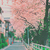 :iconpurinsuu: