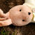 :iconpuristudio: