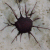 :iconpurl:
