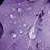 :iconpurple-ashes: