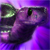 :iconPurple-Cobra: