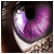 :iconpurple-irises: