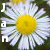 :iconpurple-monty:
