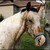 :iconpurple-turnips: