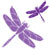 :iconpurple53dragonfly: