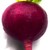 :iconpurplebeet: