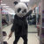 :iconpurpleblaze: