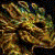 :iconpurplecatcreatives: