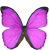 :iconpurplecatlily: