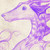 :iconpurplecoloredpencil: