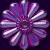 :iconpurpledaizie2: