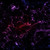:iconpurpleexistence: