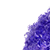 :iconpurplefro1plz: