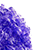 :iconpurplefro3plz: