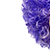 :iconpurplefro4plz: