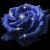 :iconpurplegirl14: