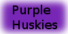 :iconpurplehuskies: