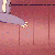 :iconpurplekecleonhideplz: