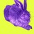 :iconpurplelapin: