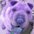 :iconpurplepei: