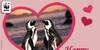 :iconpurplepenguinfans: