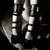 :iconpurplephoenix0225: