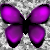 :iconpurplepixi: