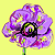 :iconpurplepoppies: