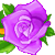 ♫♥♥♥♫Club:Pichi Pichi Pitch♫♥♥♥♫Entra y Diviertete en una aventura de sirenas♫♥♥♥♫ Purplerose6plz