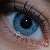 :iconpurplesatin: