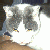 :iconpurplesolace: