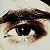 :iconpurplesoma: