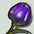 :iconpurpletulipplz: