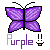 :iconpurplez11: