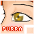 :iconpurra: