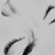 :iconpurrelly: