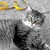 PurrfectionSewing :iconpurrfectionsewing: